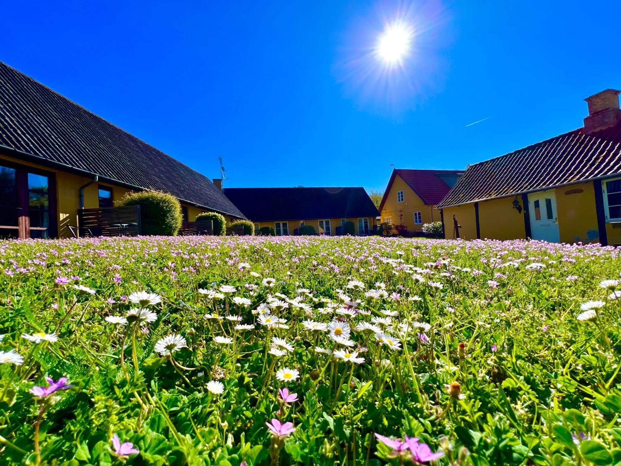 Hotel Skovly Rønne Esterno foto